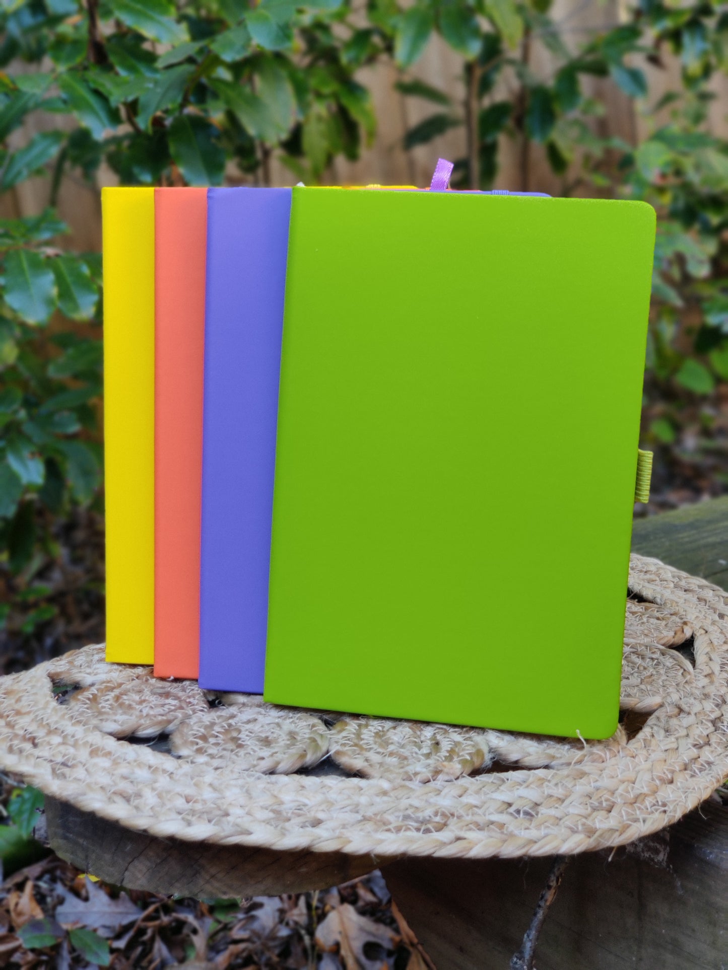 Ascension Journal