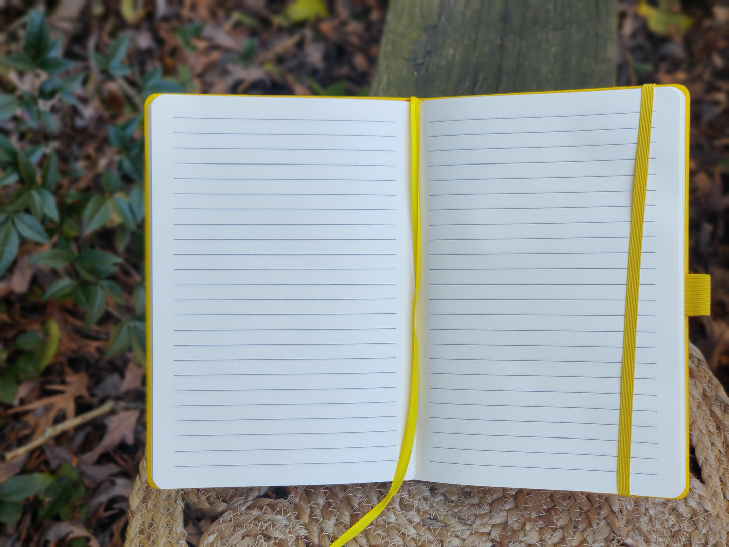 Ascension Journal